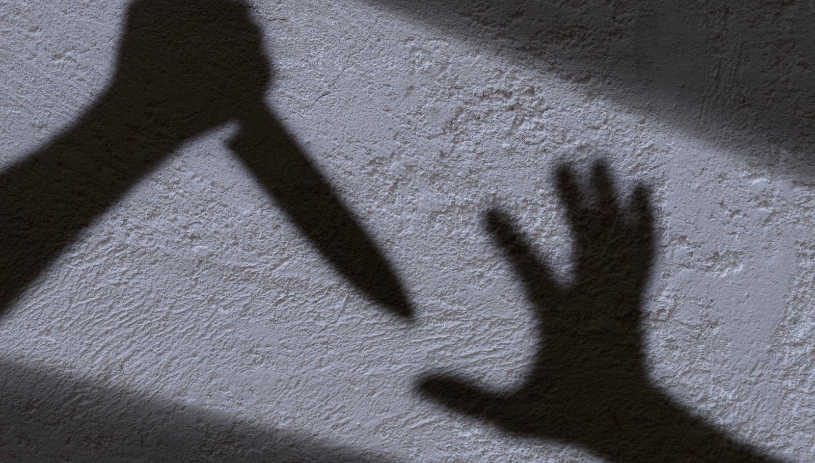 İş görüşmesi için gittiği şirketin müdürünü öldürdü