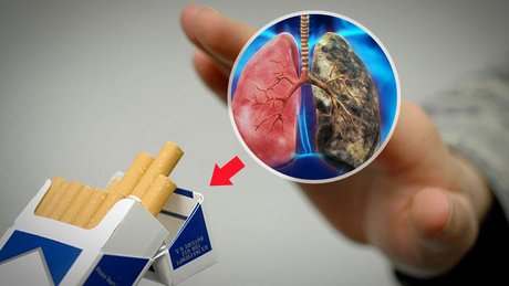 Sigarayı nasıl bırakabilirsiniz?