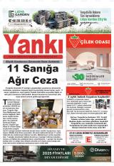 YANKI