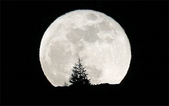 Çin Ay’da tarım yapıp ipekböceği yetiştirecek