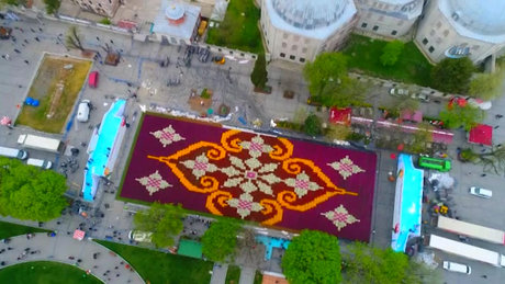 Dünyanın en büyük lale halısı havadan görüntülendi