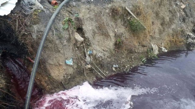 Bursa’nın Dereleri Trilyonluk Yatırıma Rağmen Zehir Akıyor