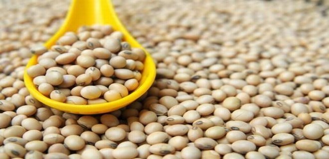 Soya, kadınlar için gerçek