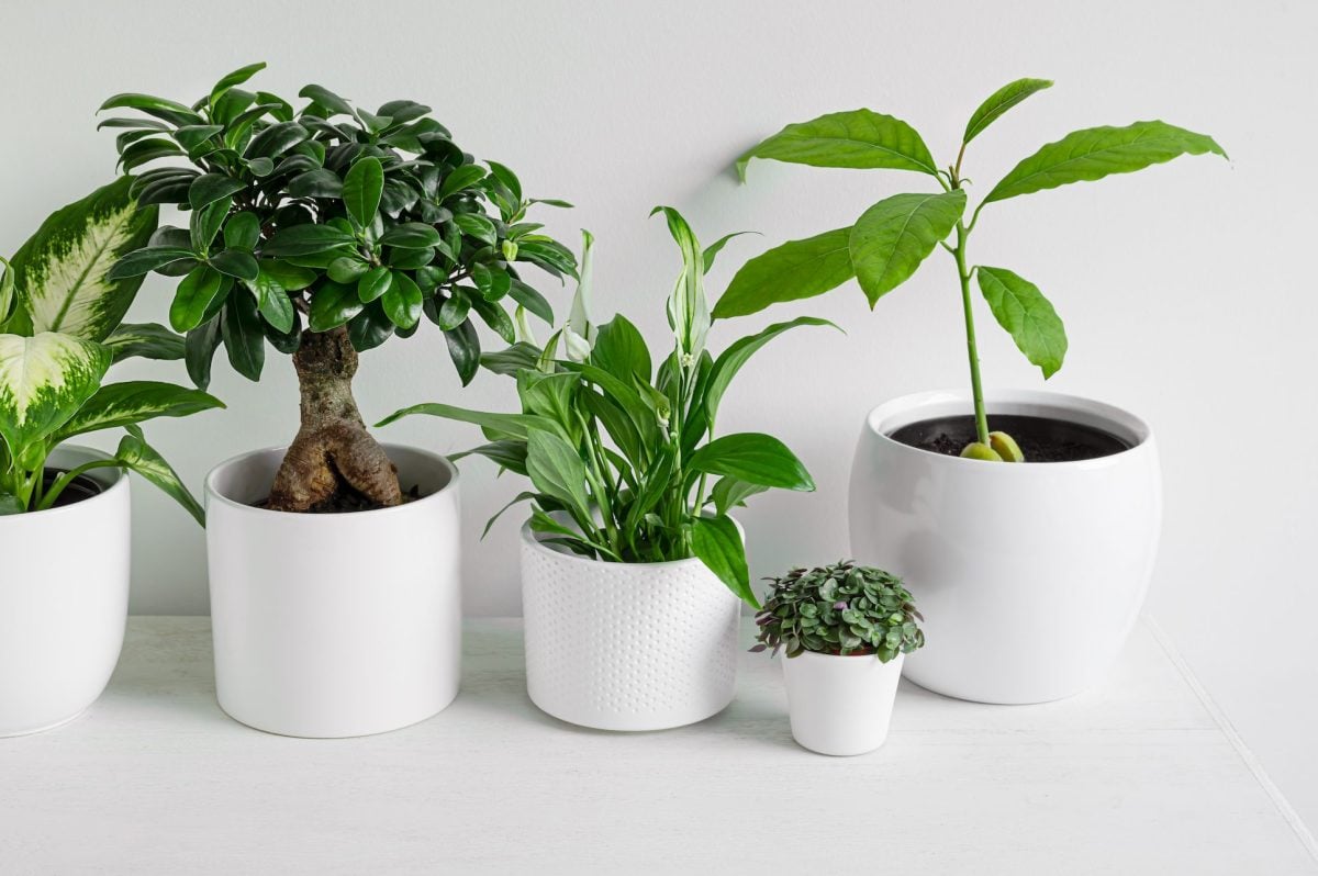 Evinizi Yaza Hazırlayacak Öneriler