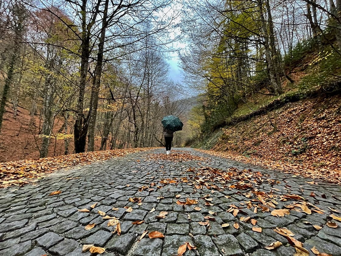Sonbahar’ın Eşsiz Manzarası Yedigöller